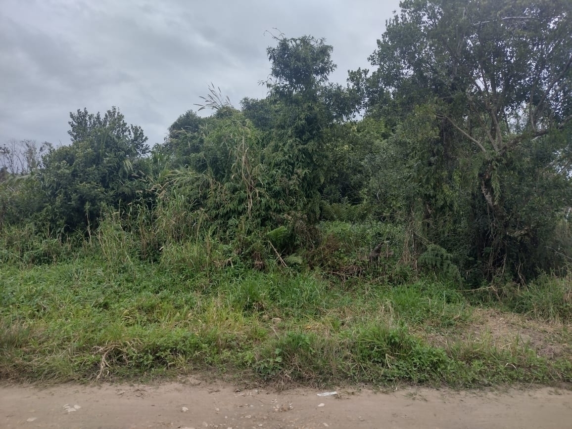 GUARATUBA | Terrenos | Guaratuba - Terreno prox. Bavaresco e ao mar. GUARATUBA | Terrenos | Guaratuba - Terreno prox. Bavaresco e ao mar.