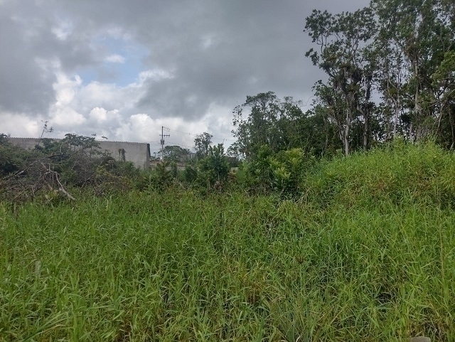 MATINHOS | Terrenos | Matinhos - Terreno medindo 14 por 30 MATINHOS | Terrenos | Matinhos - Terreno medindo 14 por 30