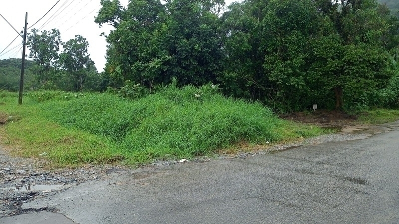 MATINHOS | Terrenos | Matinhos - Terreno de esquina próx a caioba. MATINHOS | Terrenos | Matinhos - Terreno de esquina próx a caioba.